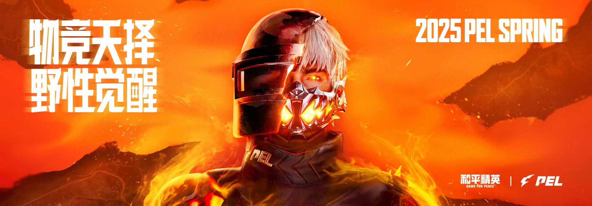 和平精英「战神w」辅助